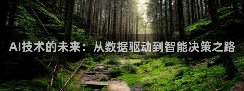 AI技术的未来：从数据驱动到智能决策之路