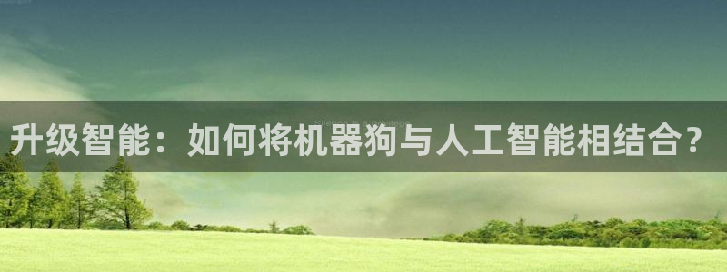 升级智能：如何将机器狗与人工智能相结合？