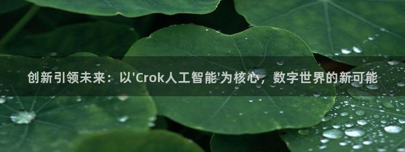 创新引领未来：以\'Crok人工智能\'为核心，数字世界的新可能