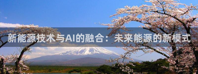 新能源技术与AI的融合：未来能源的新模式