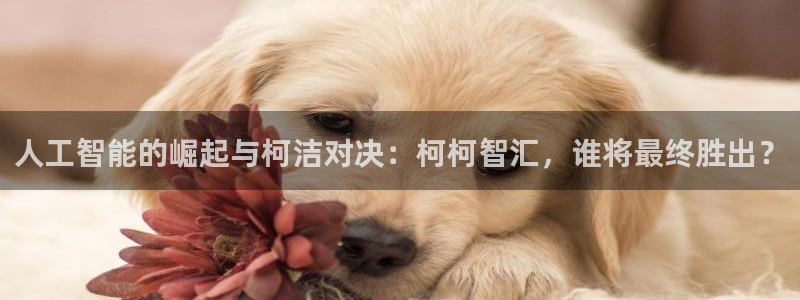人工智能的崛起与柯洁对决：柯柯智汇，谁将最终胜出？