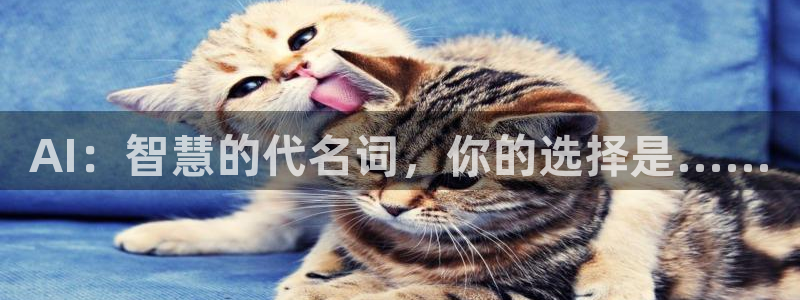 AI：智慧的代名词，你的选择是……