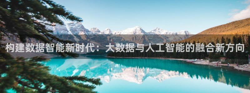 构建数据智能新时代：大数据与人工智能的融合新方向