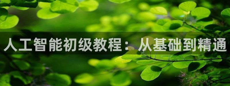 人工智能初级教程：从基础到精通