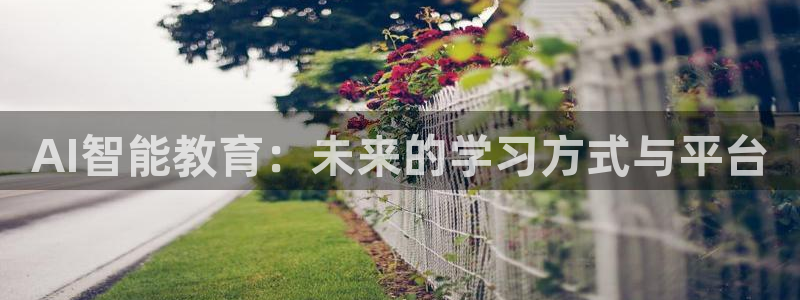 AI智能教育：未来的学习方式与平台