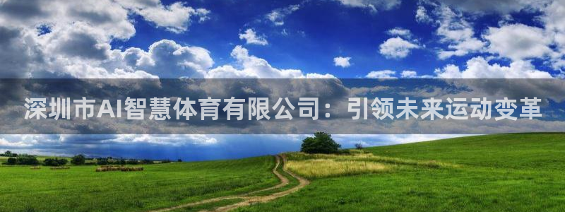 深圳市AI智慧体育有限公司：引领未来运动变革