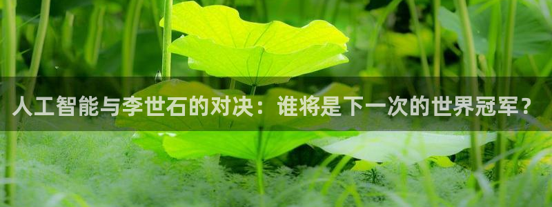 人工智能与李世石的对决：谁将是下一次的世界冠军？