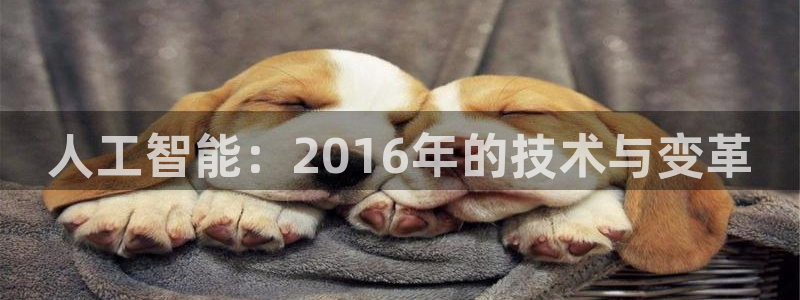 人工智能：2016年的技术与变革