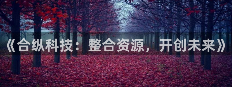 《合纵科技：整合资源，开创未来》