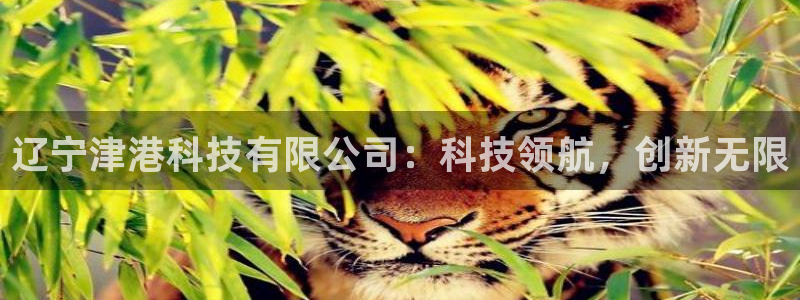 辽宁津港科技有限公司：科技领航，创新无限