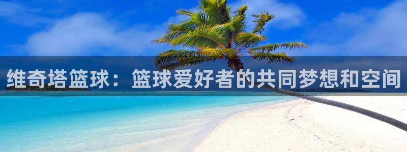 维奇塔篮球：篮球爱好者的共同梦想和空间