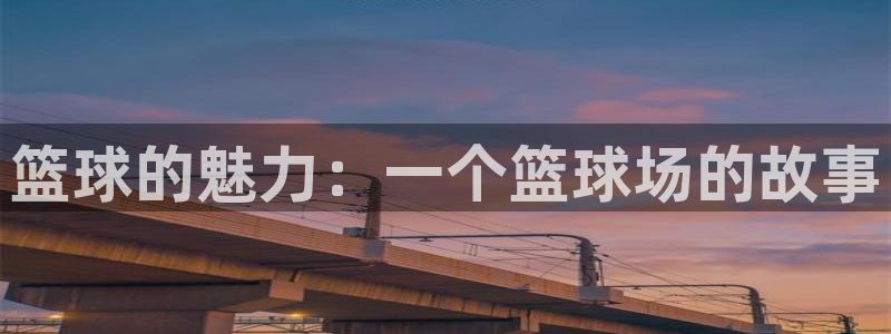 篮球的魅力：一个篮球场的故事