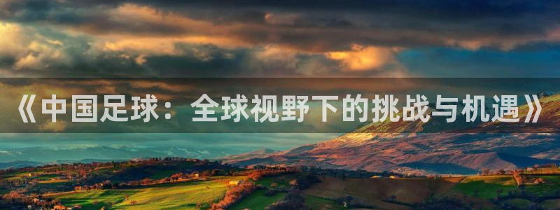 《中国足球：全球视野下的挑战与机遇》