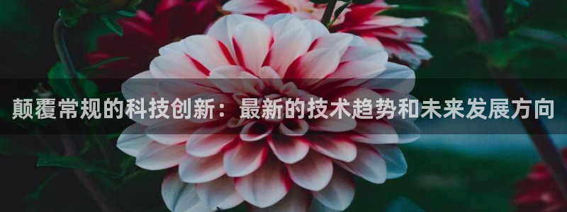 颠覆常规的科技创新：最新的技术趋势和未来发展方向