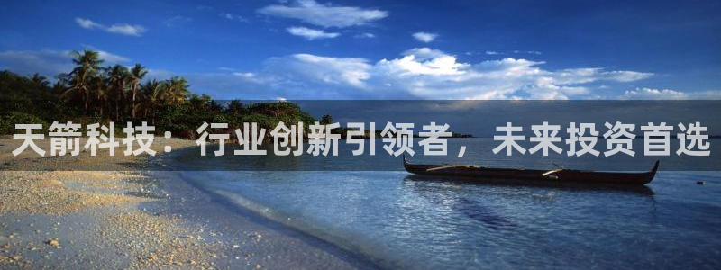天箭科技：行业创新引领者，未来投资首选