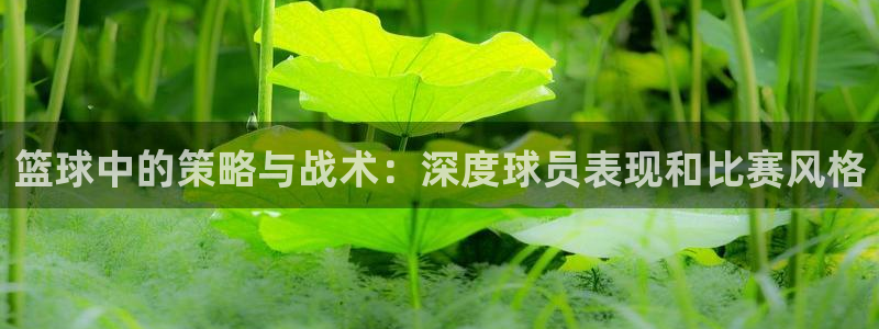 篮球中的策略与战术：深度球员表现和比赛风格
