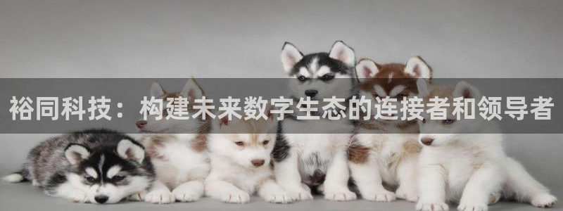 裕同科技：构建未来数字生态的连接者和领导者
