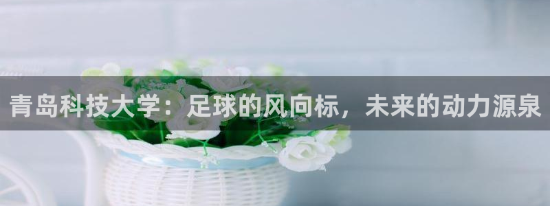 青岛科技大学：足球的风向标，未来的动力源泉