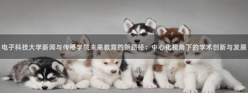 电子科技大学新闻与传播学院未来教育的新路径：中心化视角下的学术创新与发展