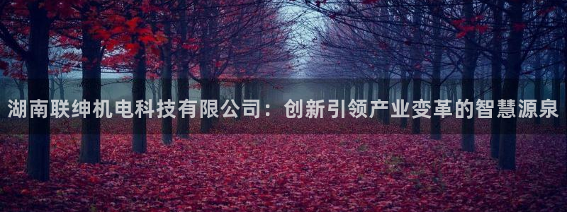 湖南联绅机电科技有限公司：创新引领产业变革的智慧源泉