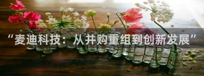 “麦迪科技：从并购重组到创新发展”