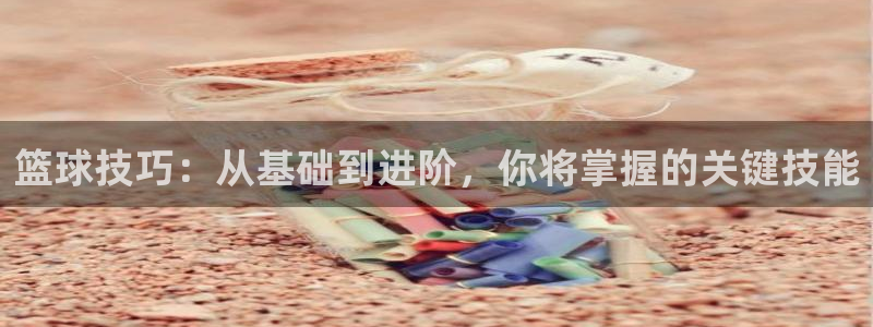 篮球技巧：从基础到进阶，你将掌握的关键技能