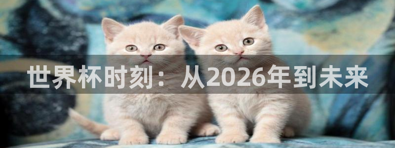 世界杯时刻：从2026年到未来