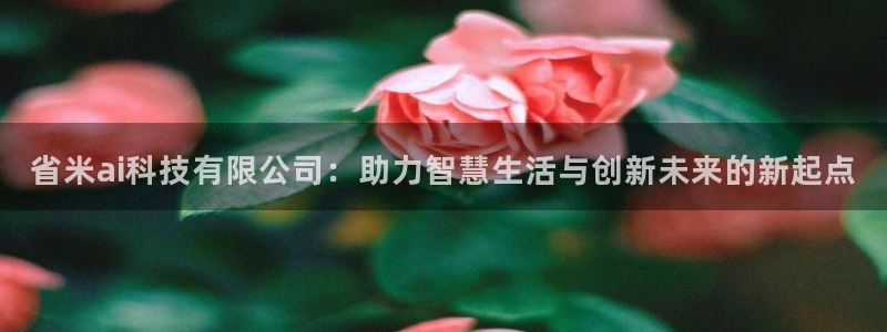 省米ai科技有限公司：助力智慧生活与创新未来的新起点