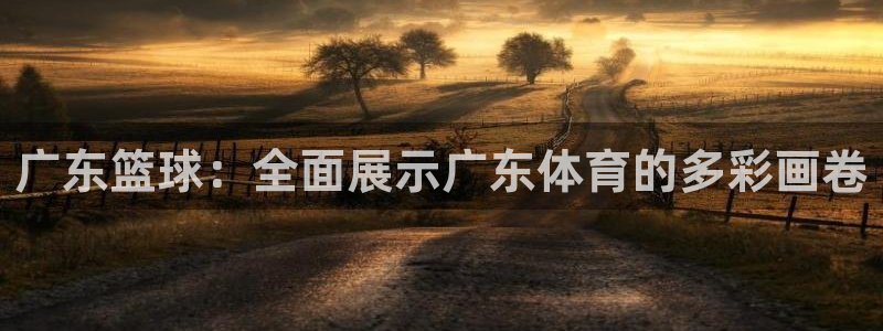 广东篮球：全面展示广东体育的多彩画卷