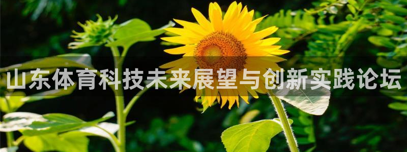 山东体育科技未来展望与创新实践论坛