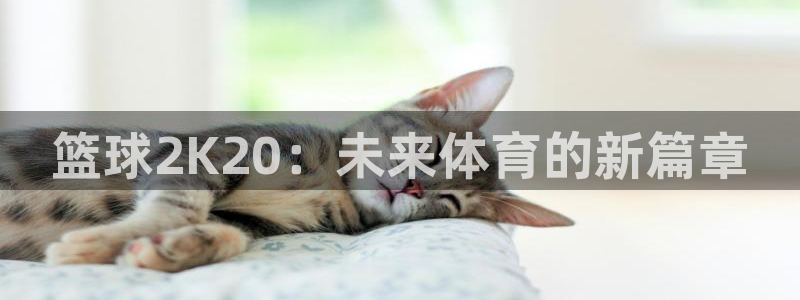 篮球2K20：未来体育的新篇章