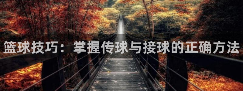 篮球技巧：掌握传球与接球的正确方法