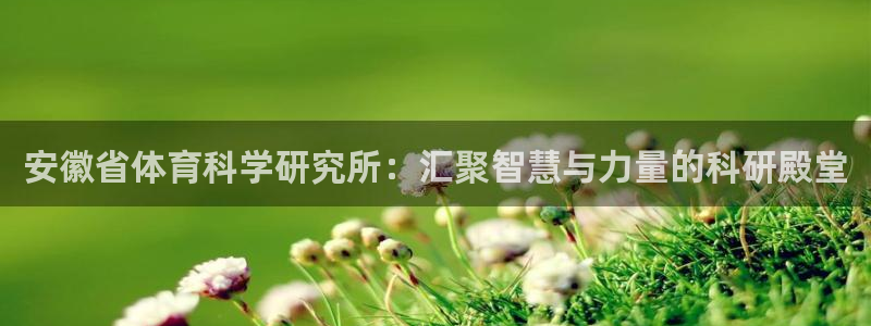 安徽省体育科学研究所：汇聚智慧与力量的科研殿堂