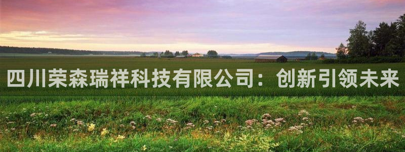 四川荣森瑞祥科技有限公司：创新引领未来