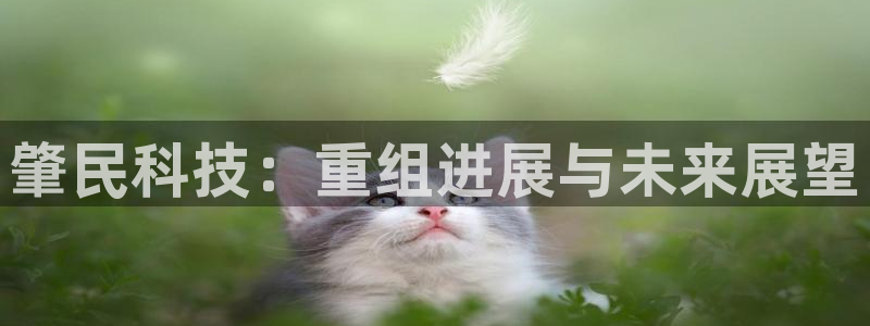 肇民科技：重组进展与未来展望