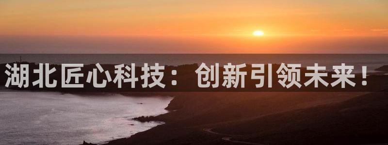 湖北匠心科技：创新引领未来！
