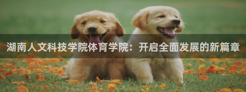 湖南人文科技学院体育学院：开启全面发展的新篇章