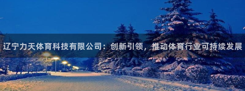 辽宁力天体育科技有限公司：创新引领，推动体育行业可持续发展