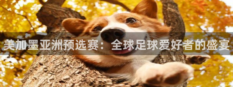美加墨亚洲预选赛：全球足球爱好者的盛宴