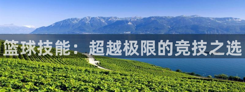 篮球技能：超越极限的竞技之选