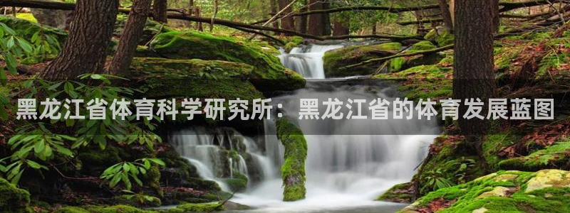 黑龙江省体育科学研究所：黑龙江省的体育发展蓝图