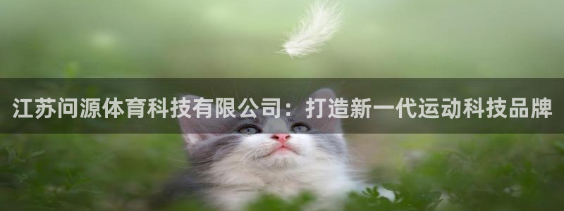 江苏问源体育科技有限公司：打造新一代运动科技品牌