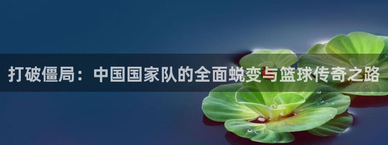 打破僵局：中国国家队的全面蜕变与篮球传奇之路