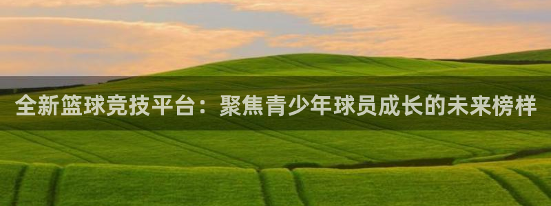 全新篮球竞技平台：聚焦青少年球员成长的未来榜样