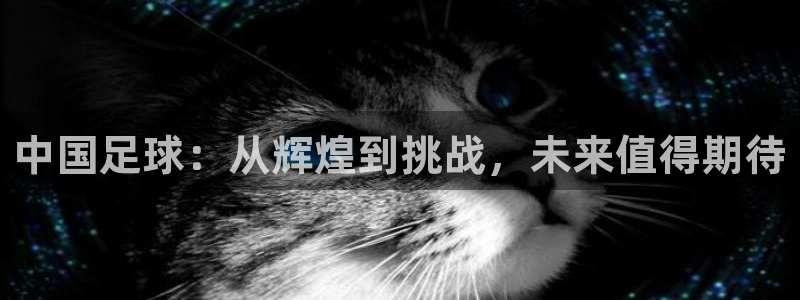 中国足球：从辉煌到挑战，未来值得期待
