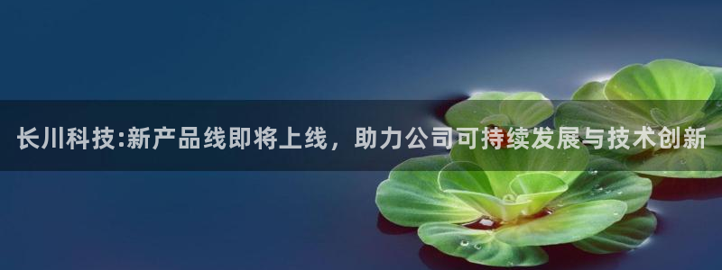 长川科技:新产品线即将上线，助力公司可持续发展与技术创新