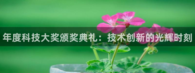 年度科技大奖颁奖典礼：技术创新的光辉时刻