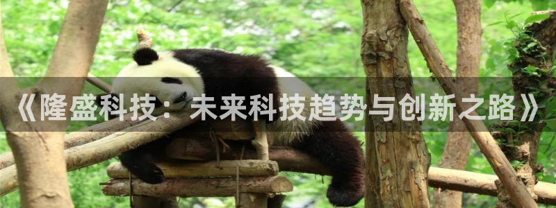《隆盛科技：未来科技趋势与创新之路》