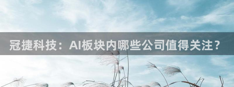 冠捷科技：AI板块内哪些公司值得关注？