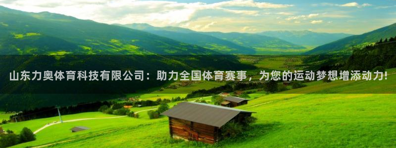 山东力奥体育科技有限公司：助力全国体育赛事，为您的运动梦想增添动力!